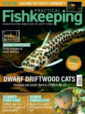 Practical Fishkeeping - Magazine